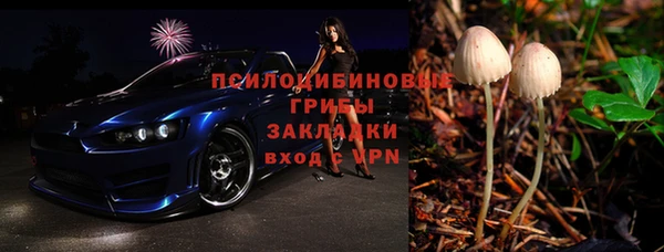 мет Пестово