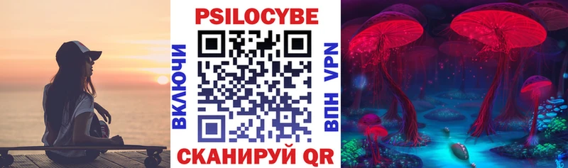 kraken tor  Безенчук  Галлюциногенные грибы GOLDEN TEACHER 