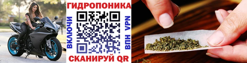Бошки марихуана SATIVA & INDICA сколько стоит Безенчук